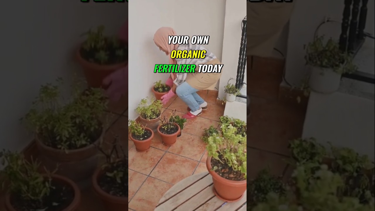 Intro to DIY Organic Fertilizer 