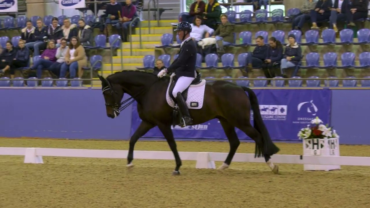 Matthew Dowsley and TS Firestorm 7yo Champion in the Young Horse Championship Final at Sydney CDLite