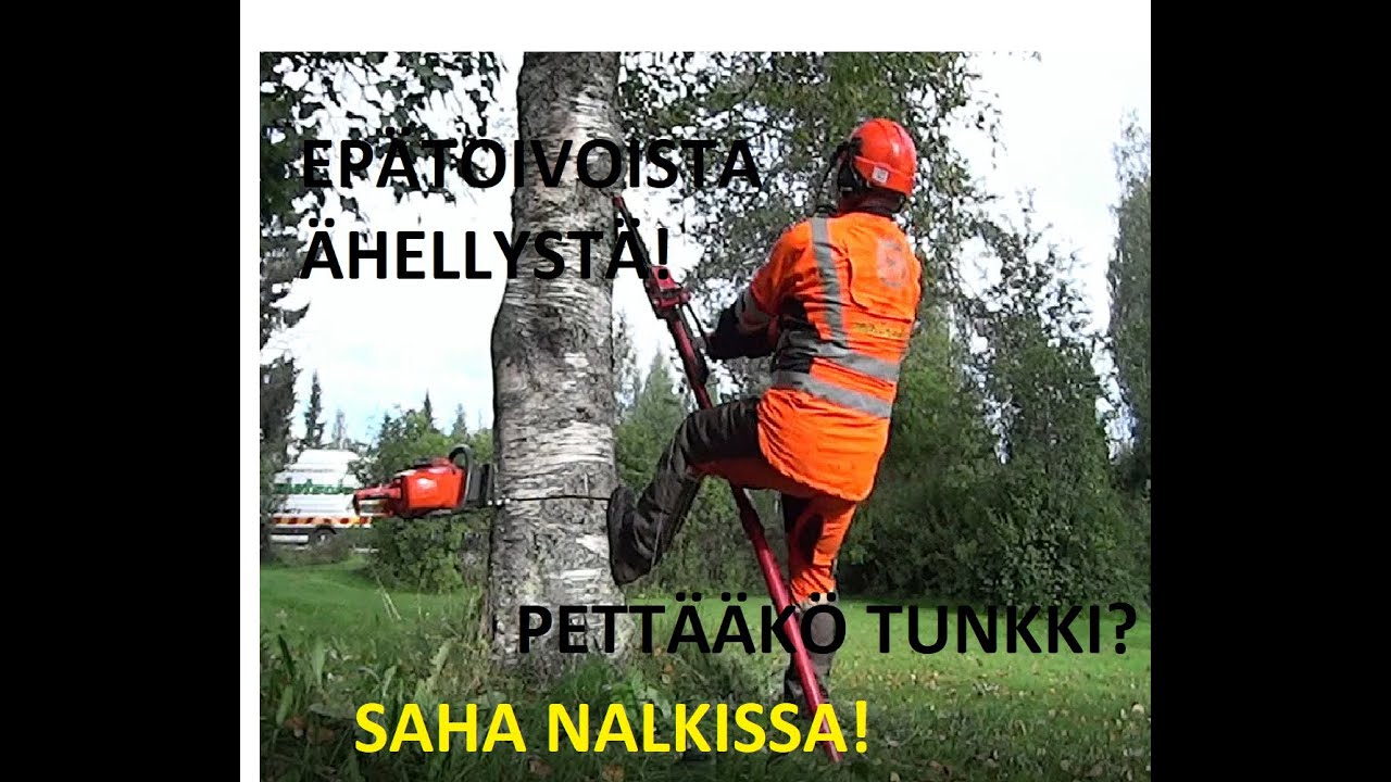 Epätoivoista ähellystä