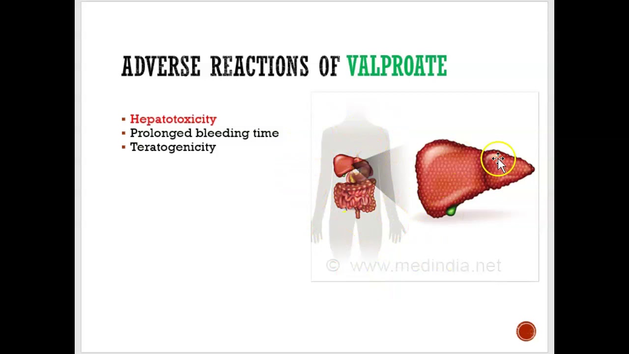 Drugs for the treatment of seizure disorders