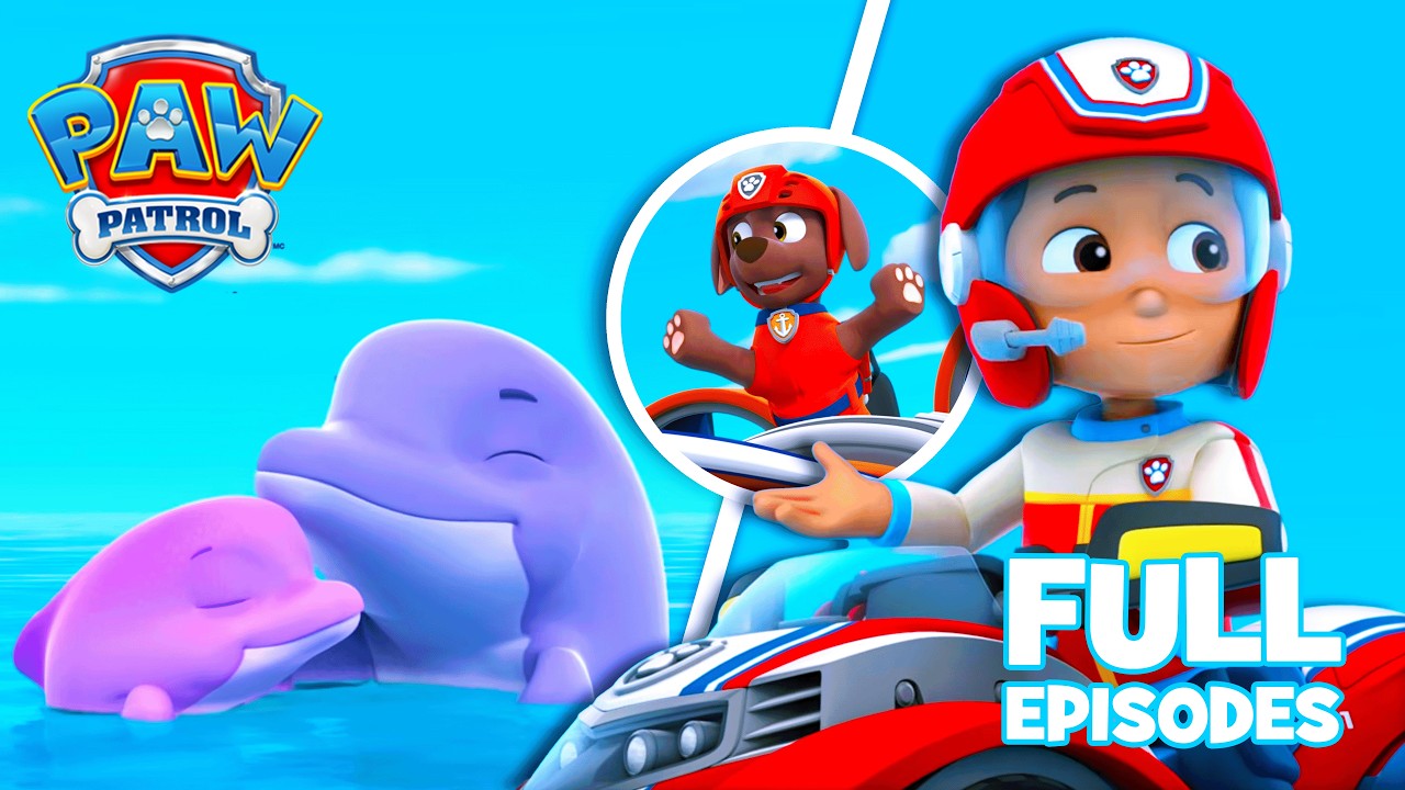 Pups Save a Dolphin Pup! 🐬🌊 | FULL Episode | PAW Patrol | Compilation