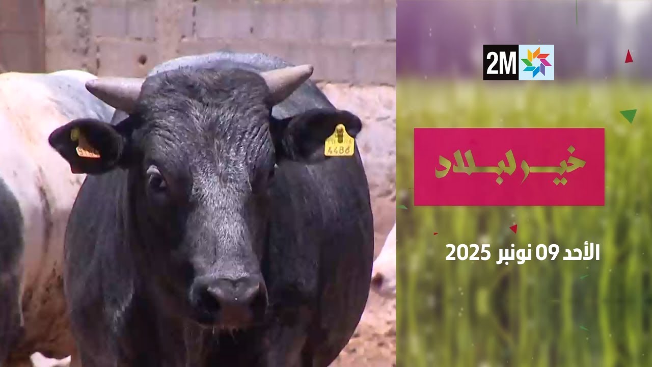 خير لبلاد : الأحد 09 نونبر 2025