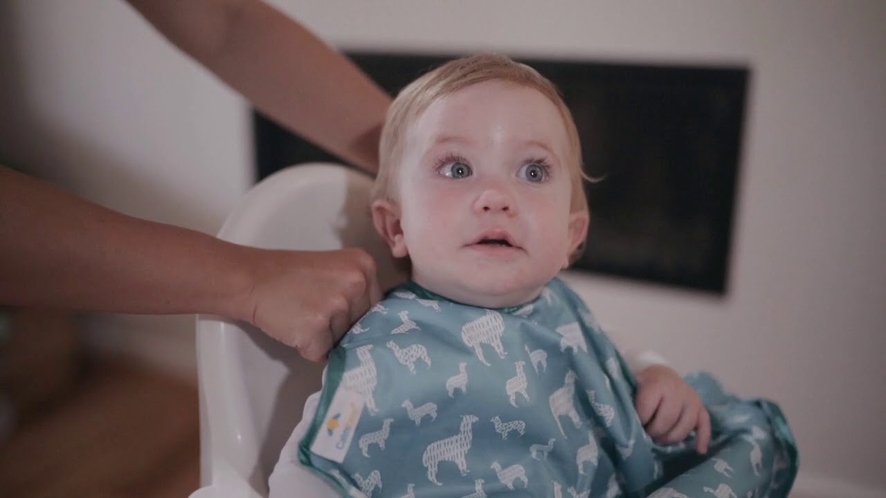 New 2019 Calmbee Instructional Video