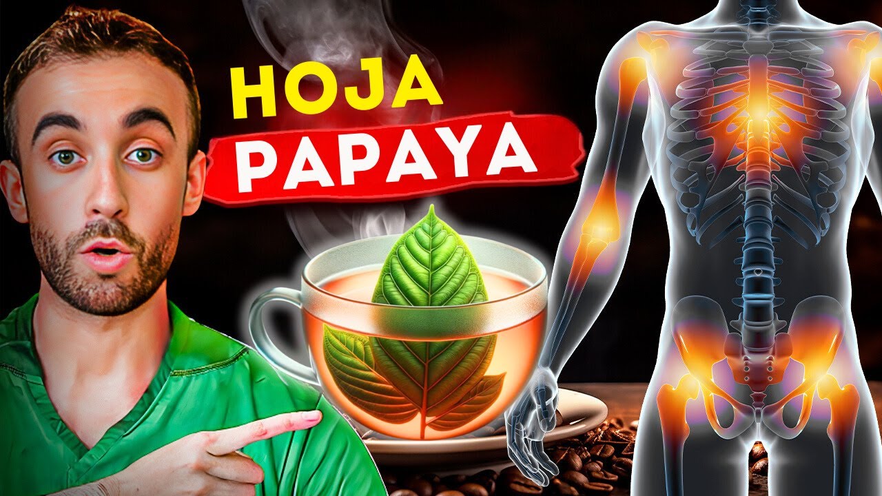 Esto OCURRE si consumes PAPAYA a diario (Uso de HOJAS y SEMILLAS)