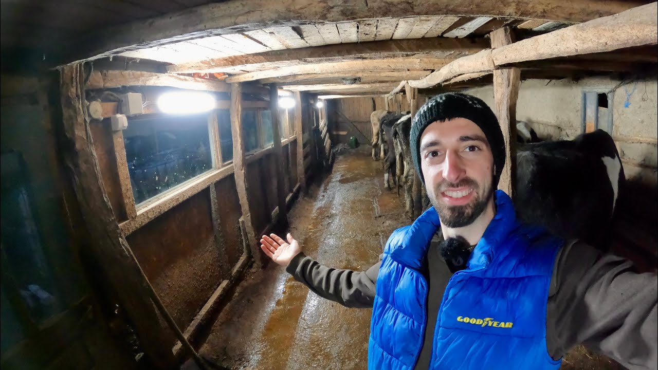 RECONSTRUIESC INSTALAȚIA ELECTRICĂ DIN GRAJDUL VĂCUȚELOR + UN NOU ȚARC PENTRU VIȚEI
