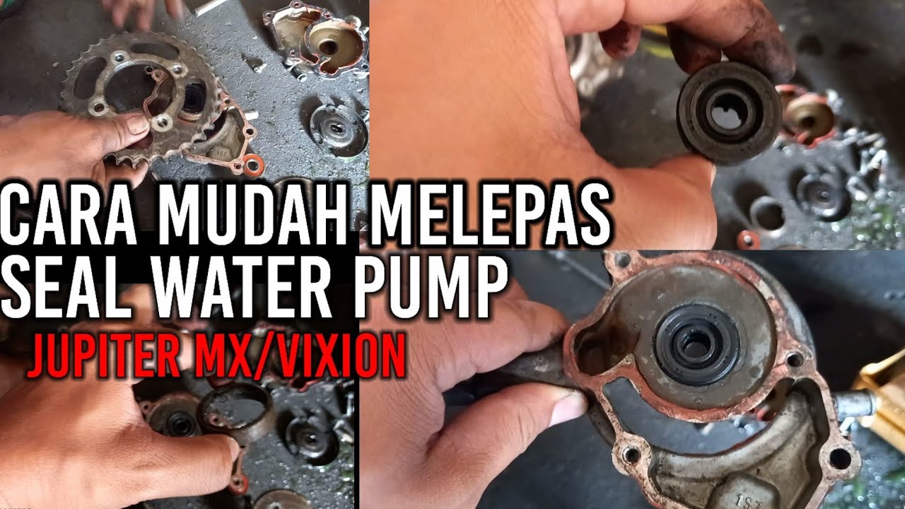 CARA MELEPAS SEAL WATERPUMP JUPITER MX | CARA MUDAH MELEPAS SEAL WATERPUMP JUPITER MX/VIXION