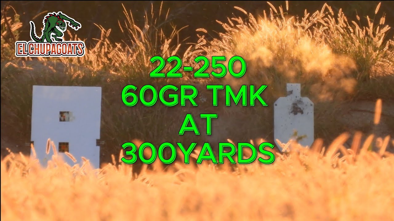 SAVAGE AXIS 2 PRO 22-250 С 60 ГРАММАМИ SIERRA TMK НА 300 ЯРАХ.