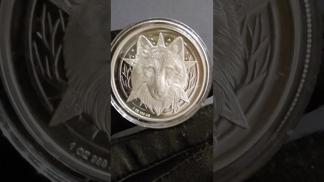 #bullionrounds #silver Lisa Parker Collection Moon Gazer Silver Round