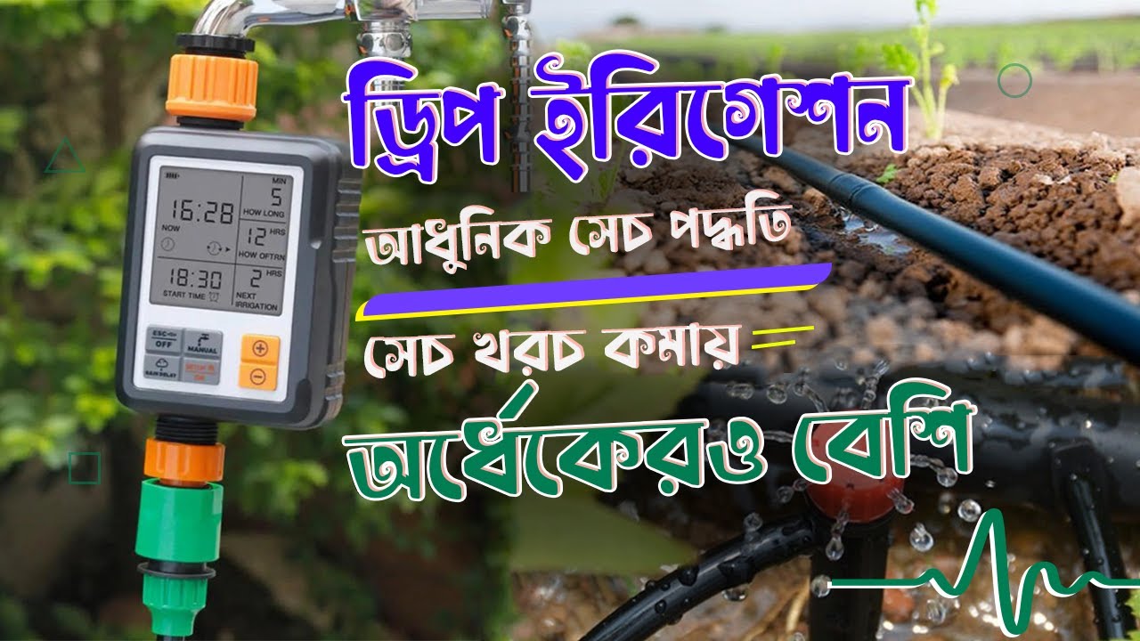 ড্রিপ ইরিগেশন সিস্টেম কিভাবে তৈরি করা হয়?  সেচ খরচ কমায় লাভ বাড়ায় | Agro-1