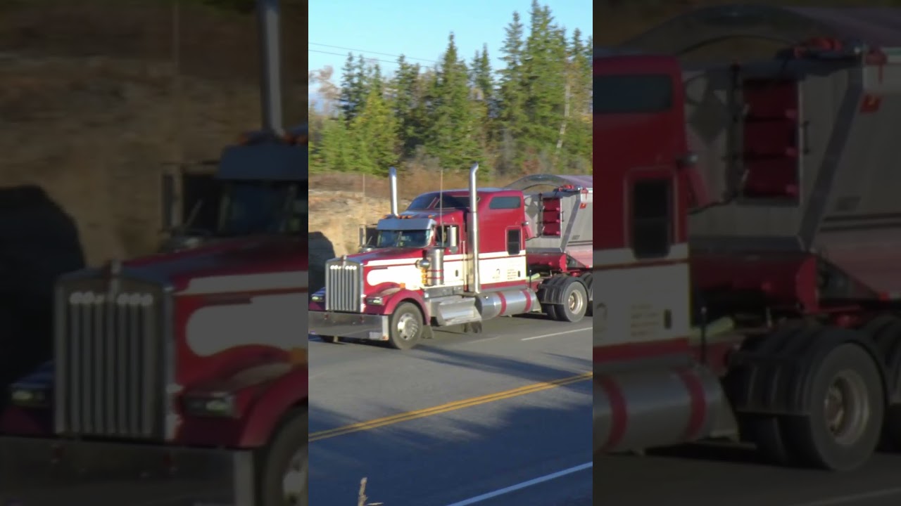 Kenworth W900 Pulling a 4 Axle Live Bottom Trailer #shorts  #truckspotter
