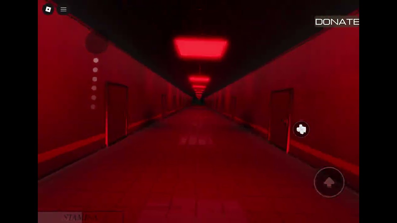 Level ! Run for your life ￼ failed