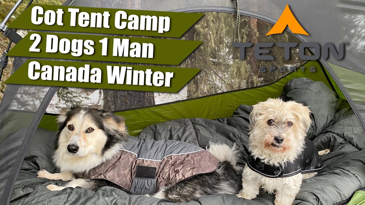 Winter Cot Tent Camping with 2 dogs in the TETON Vista 1 Cot Tent