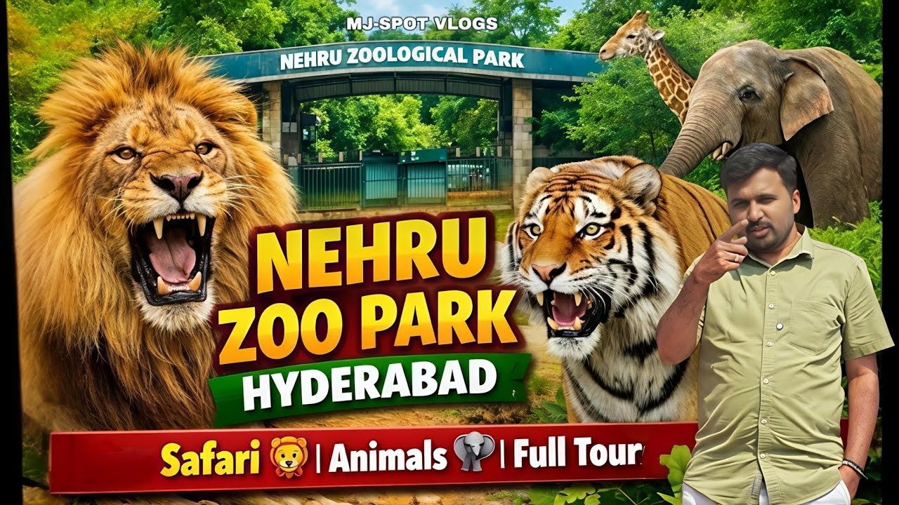 Hyderabad Nehru Zoo Park Vlog | Safari Ride & Wildlife Experience