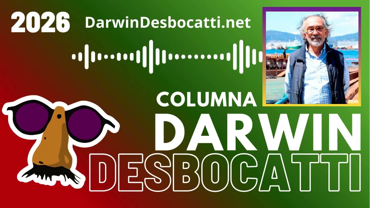 2026-02-18 - Lo sabíamos: lo de Cardama terminó siendo proteína persuasiva para convencidos - Dar...