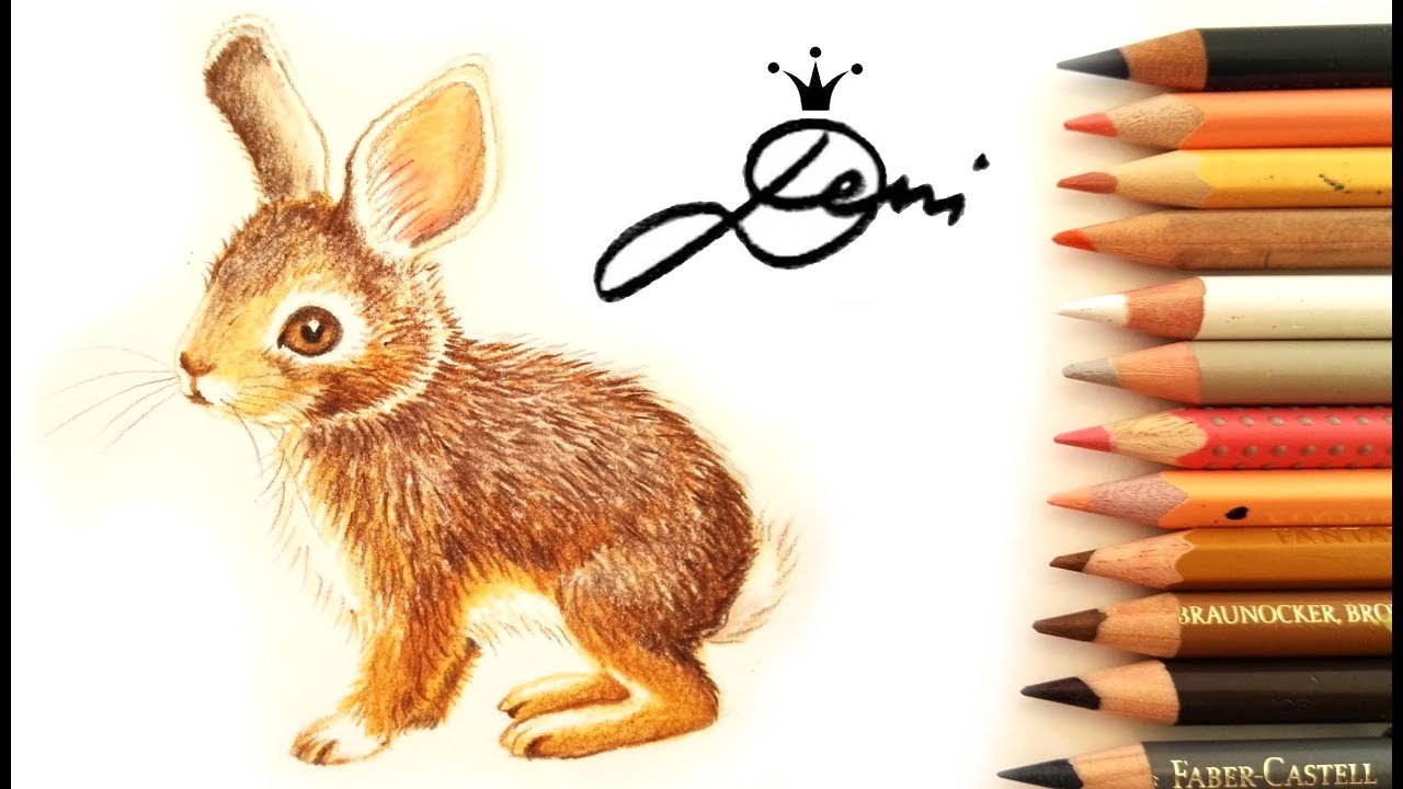 Hase zeichnen 🐰Feldhase malen 🐇How to Draw a Rabbit 🐰Bunny Drawing 🐇Hare paint 🐰как се рисува з