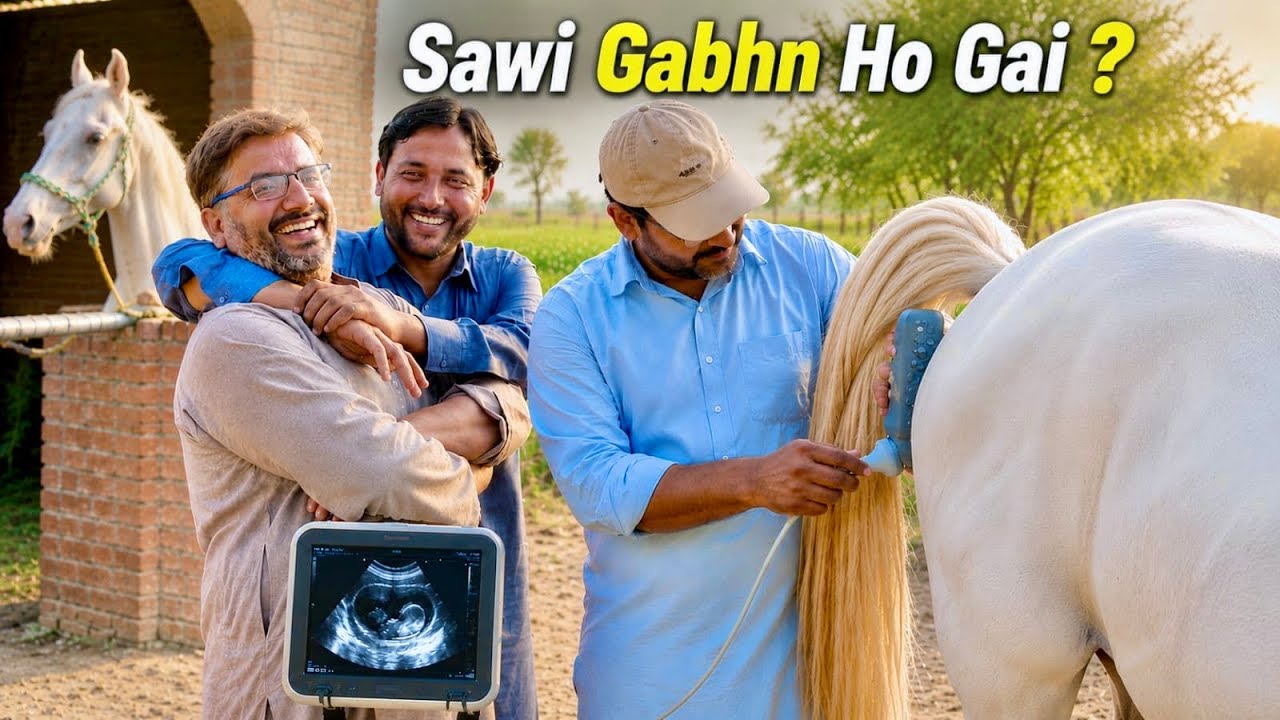 Sawi Gabhn Ho Gai ? | @TalhaGhouriVlogs1 | #talhaghourivlogs 
