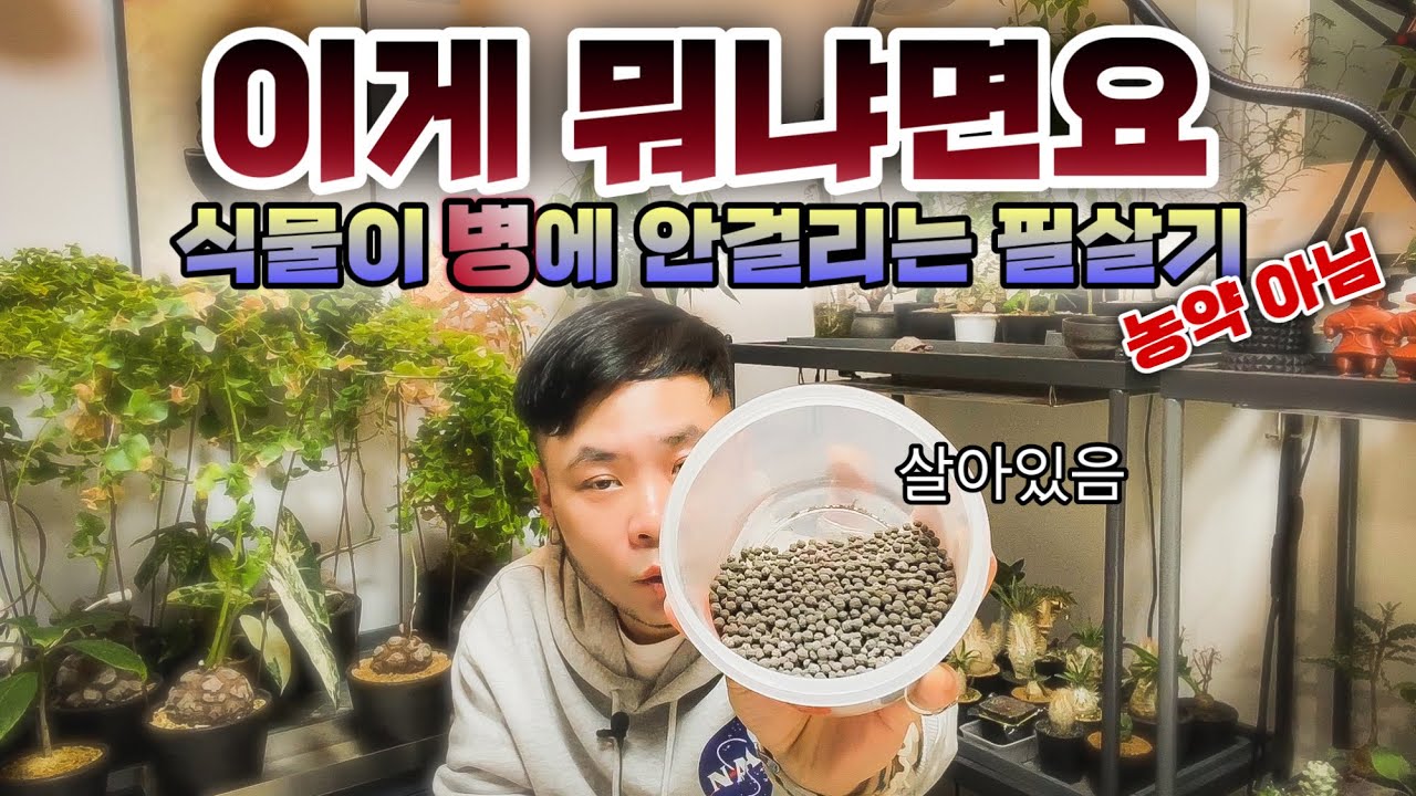 분갈이 할 때 무조건 넣으세요. 엄청난 효과.