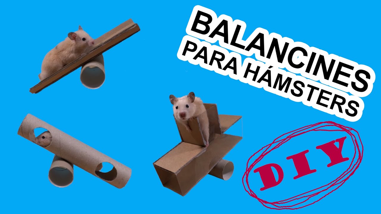 Los mejores BALANCINES CASEROS PARA HÁMSTERS | Hamster Toys DIY