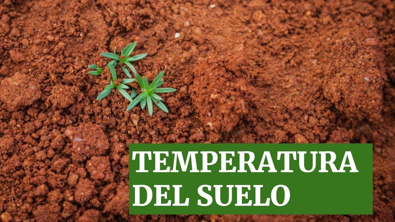 Temperatura del Suelo - Temperatura del Suelo y Aire Agroclimatologia