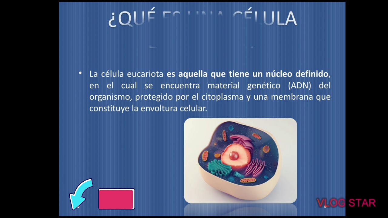 &iquest;QU&Eacute; ES UNA C&Eacute;LULA EUCARIOTA?