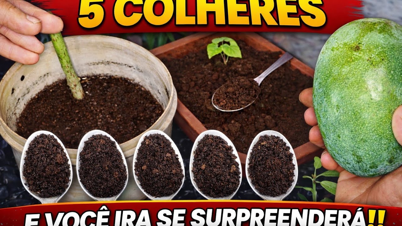5 CULHERES E VOCÊ IRA SE SURPRENDERA!!