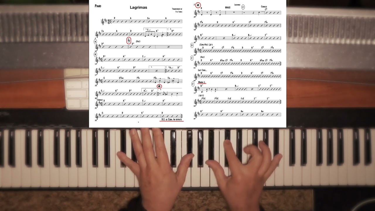 Lagrimas   Piano Demo