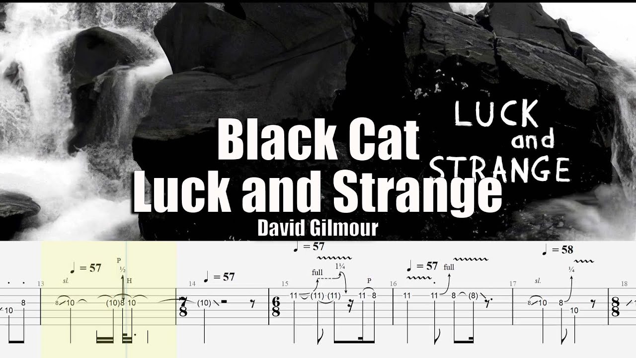 Black Cat from 