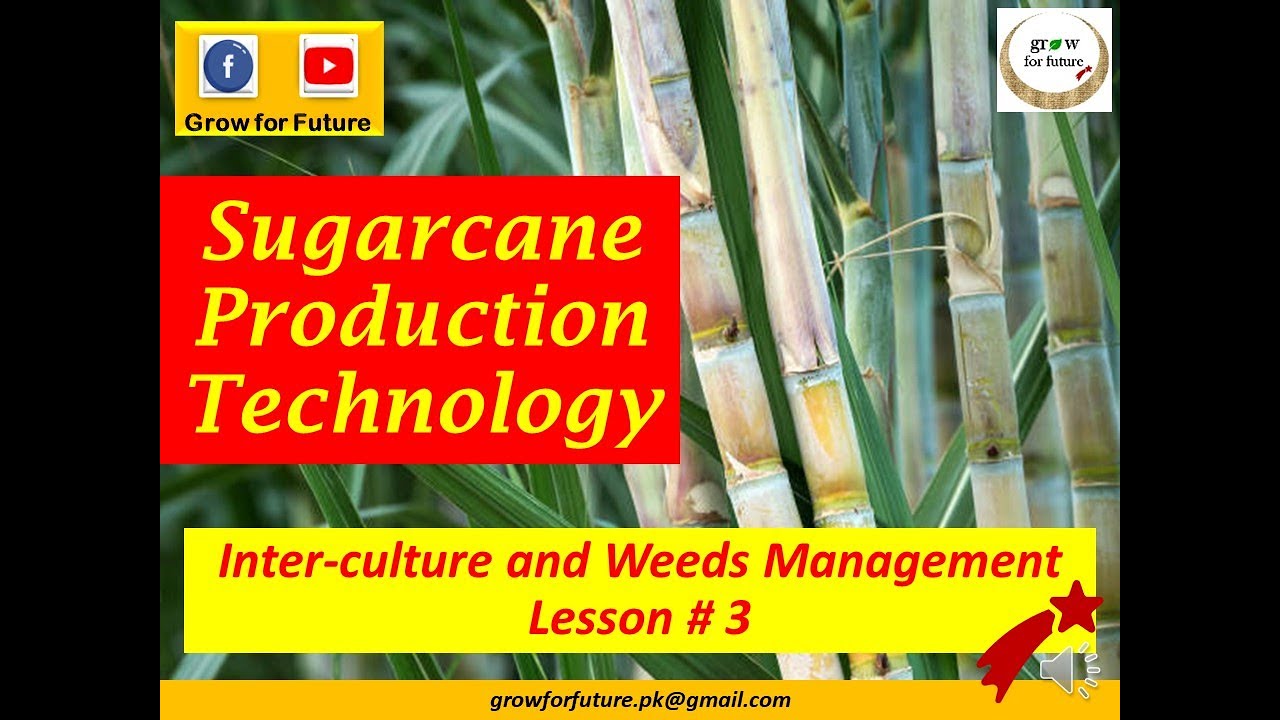 Sugarcane module: Cane production technology. Inter-culture & weeds management Chapter No. 5, Part-3
