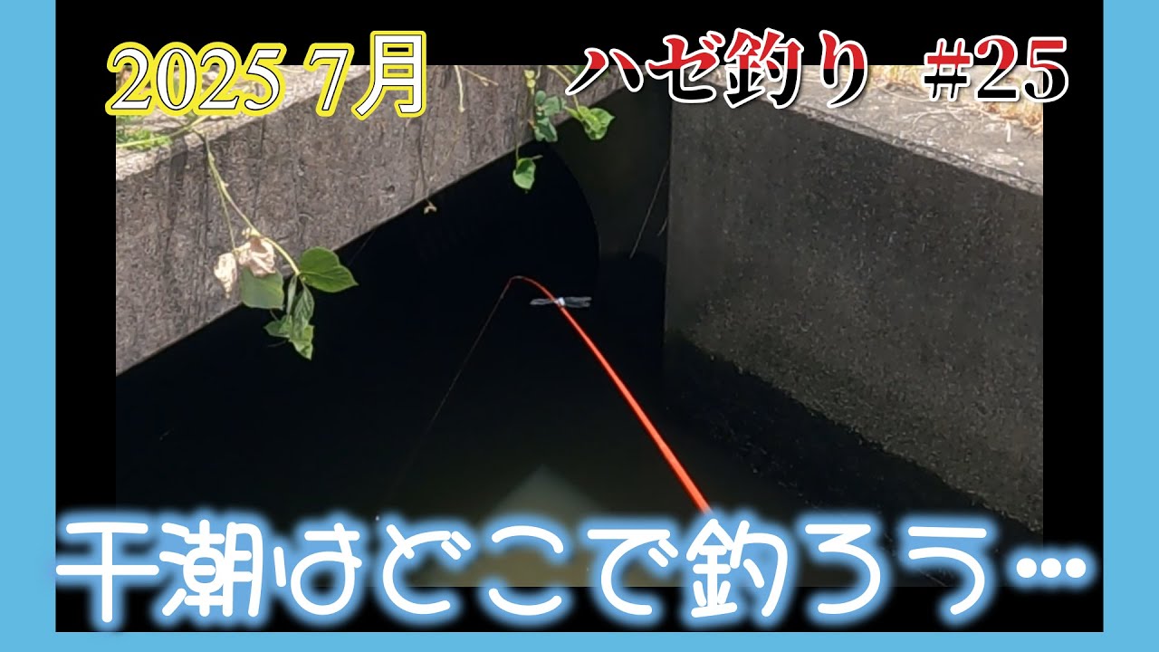 2025年【ハゼ釣り＃25】7月27日‗中潮干潮はどこで釣る！？あの水路も覗いてみたら‗釣果情報