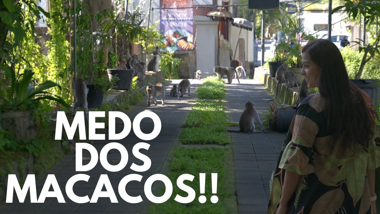 Restaurante Cempaka Ubud, Bali - Os macacos nos prenderam no hotel!