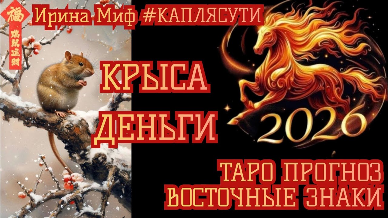 #Таро🛑ВОСТОЧНЫЕ ЗНАКИ🛑 КРЫСА🛑ДЕНЬГИ🛑 12 вариантов