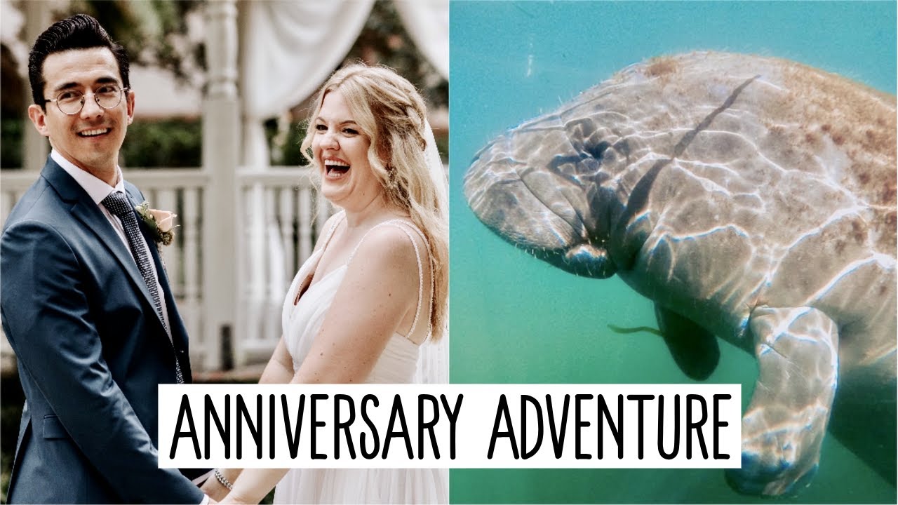 Swimming with Manatees & Topolino's Terrace! | Our First Wedding Anniversary!