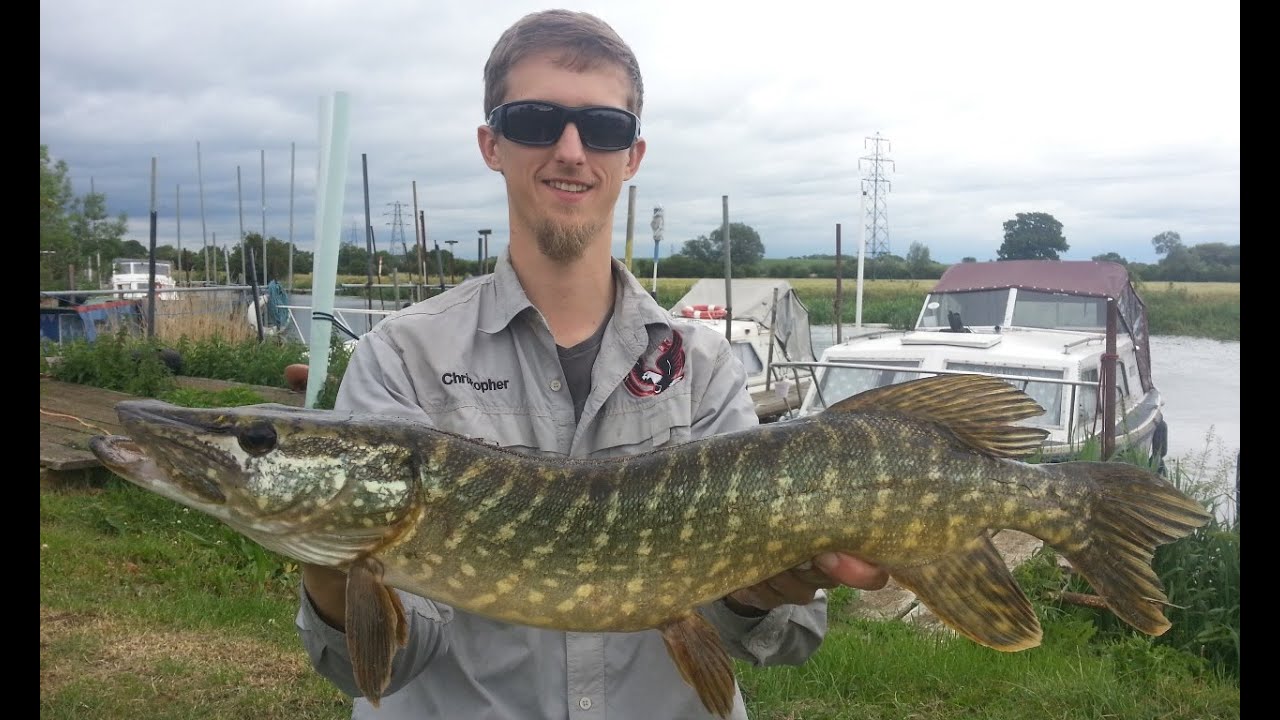 England trip 2015 - Part II (Pike, Perch & Chub on lure)