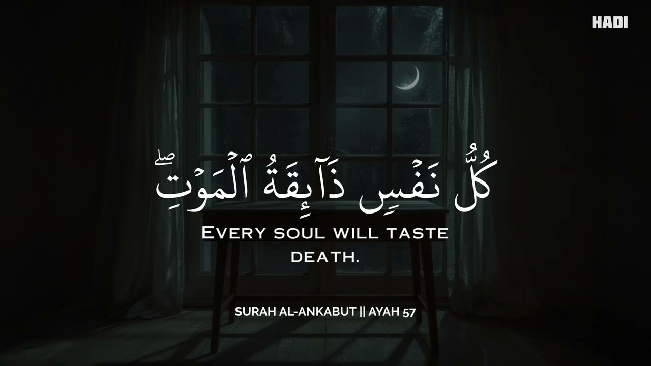 رح سمعك وقلبك بالقرآن❤️🎧 وأستمع لتلاوة هادئه بصوت محمد هشام | راحة نفسية😌 | Mohamed Hesham