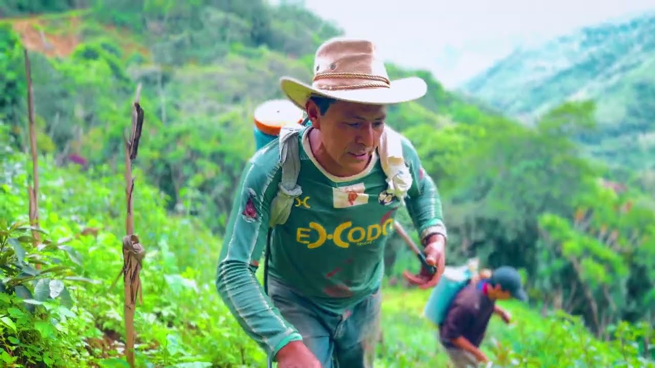 Vamos a fumigar con mi hermano el monte para sembrar maíz y maní