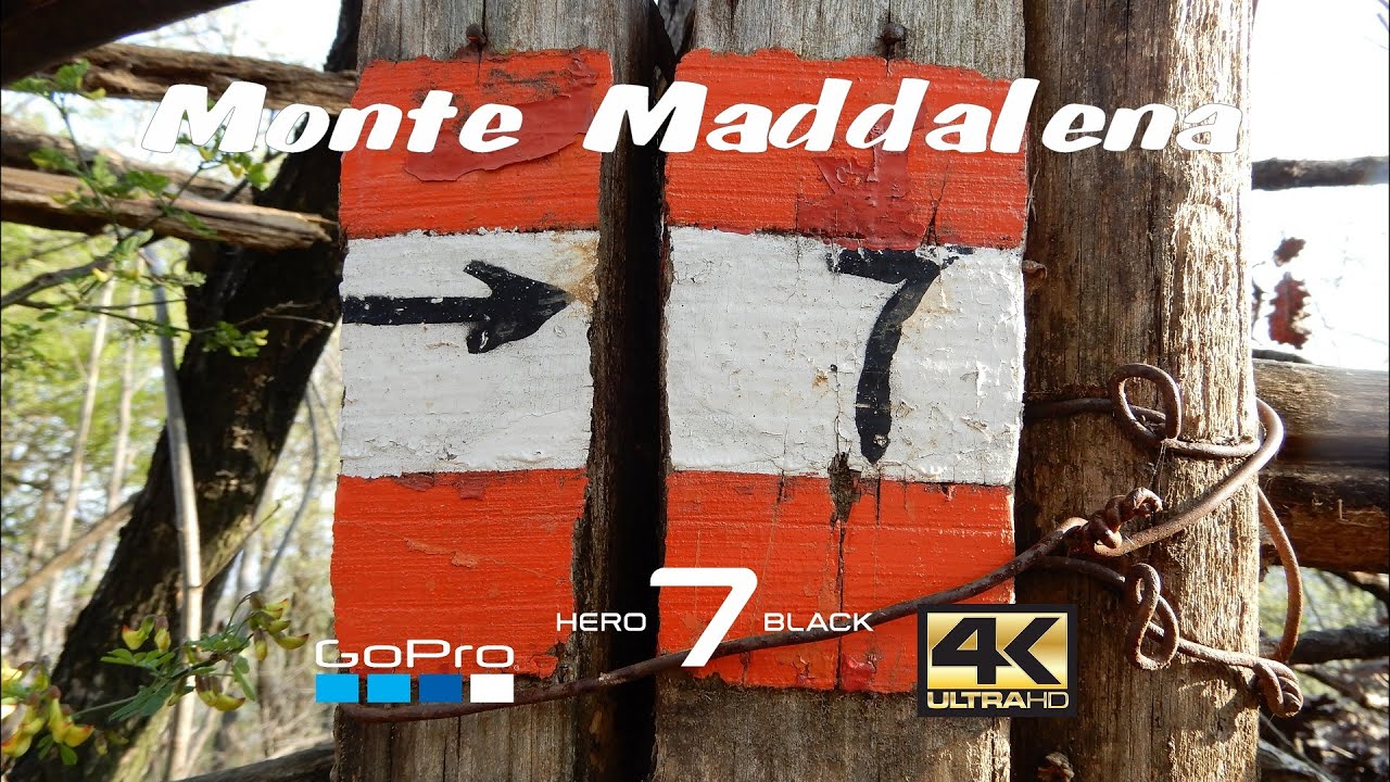 Monte Maddalena da S.Rocchino - Sentiero N 7