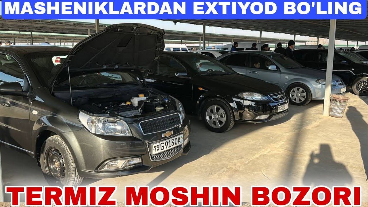 TERMIZ MOSHIN BOZORI 2026 YILGA YANGI NARXLAR