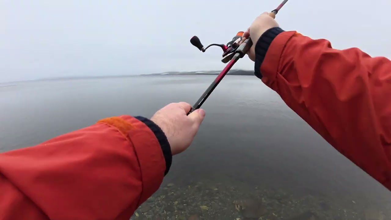 Jakten etter Mjøsa ørreten, uten duo denne gangen. 