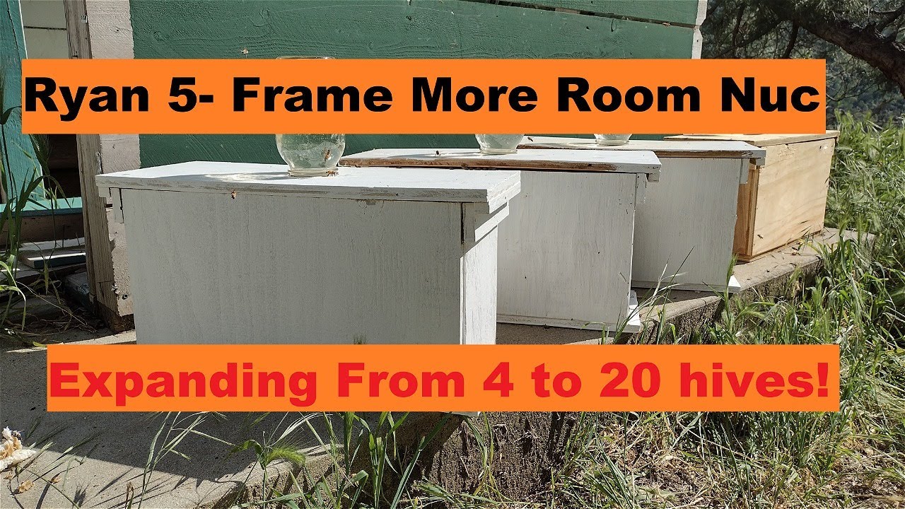Introducing Ryan's 5-Frame More Room Nuc Box!  DIY Bee Hive Nuc Box Build from Start to Finish
