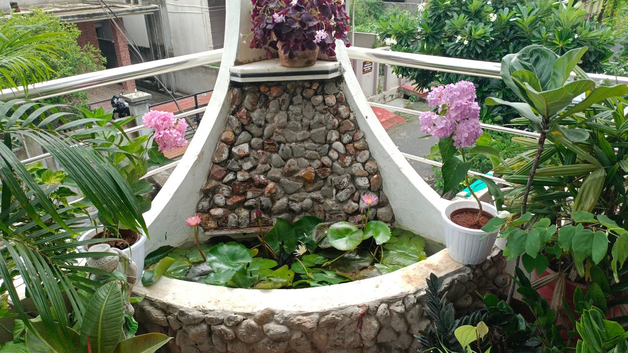 Sunday Garden Overview 🥰