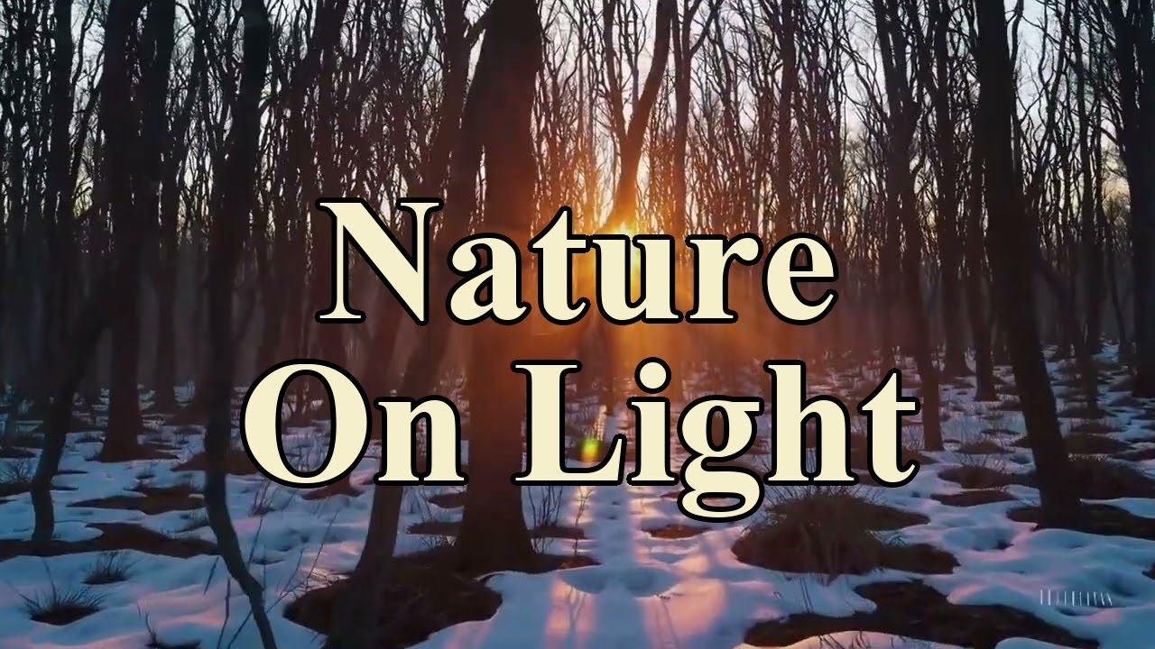 Toward the Sun (Peaceful Nature Ambience, 10 Hours)