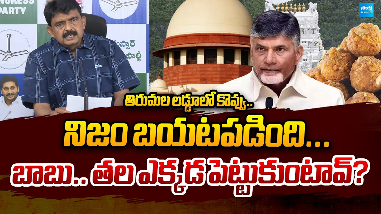Perni Nani Fire's on Chandrababu Over TTD Laddu Controversy | Sakshi TV Politics