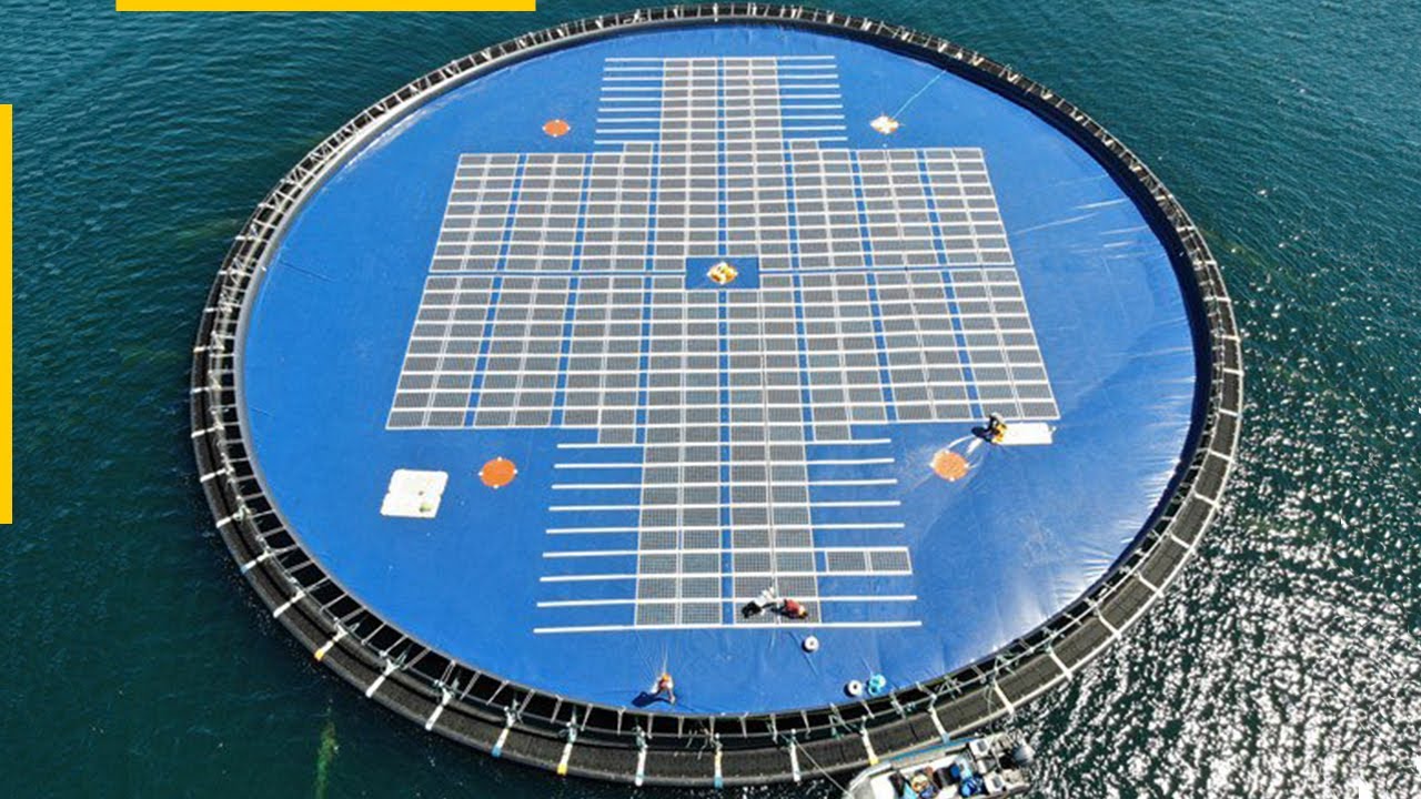Can floating solar farms solve the energy crisis?