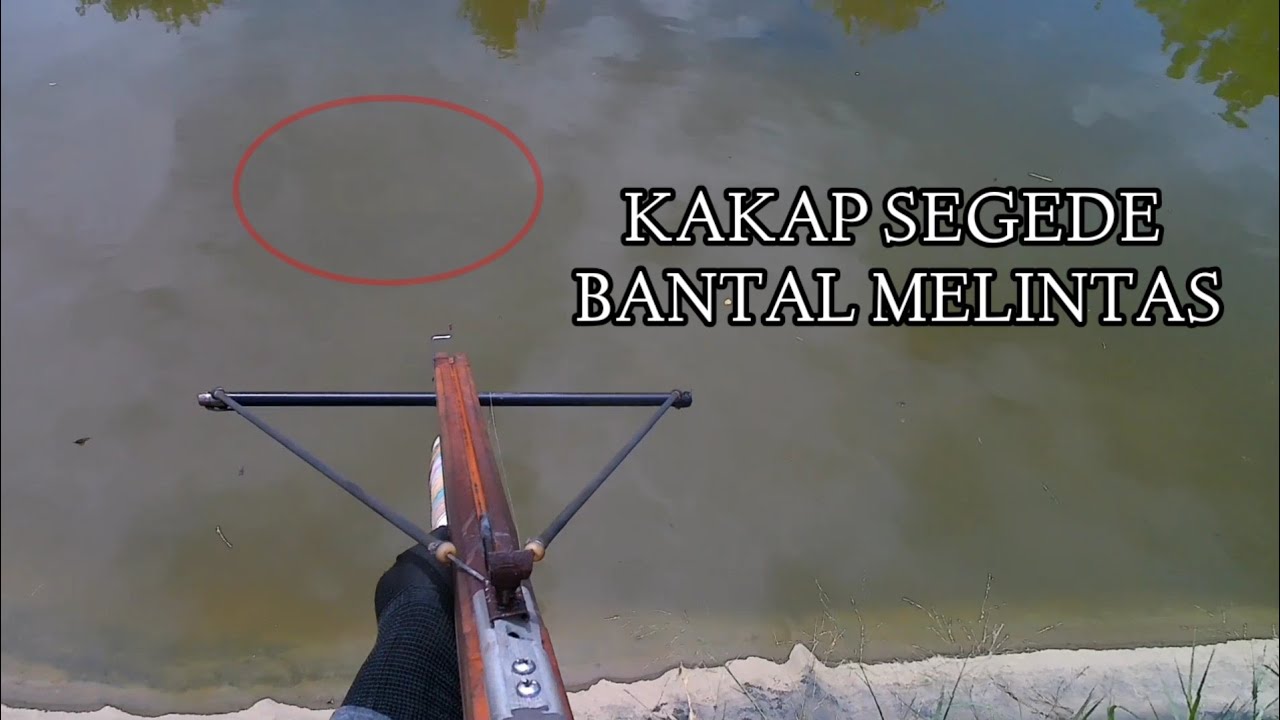 KAKI DIBUAT GEMETAR!! YANG DICARI IKAN BELANAK YANG NONGOL MONSTER KAKAP😱