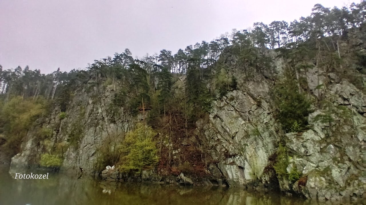 Dale&scaron;ice