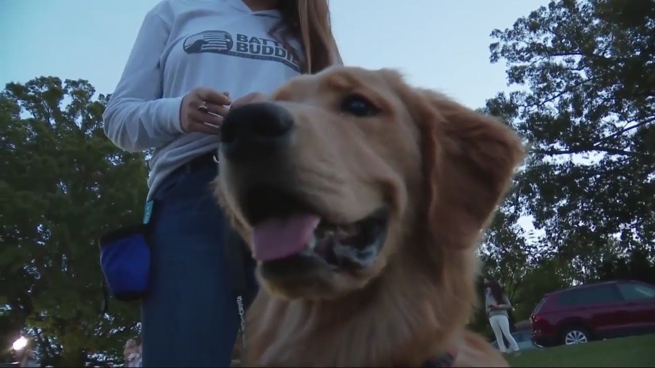 Clemson Veteran Animal Support