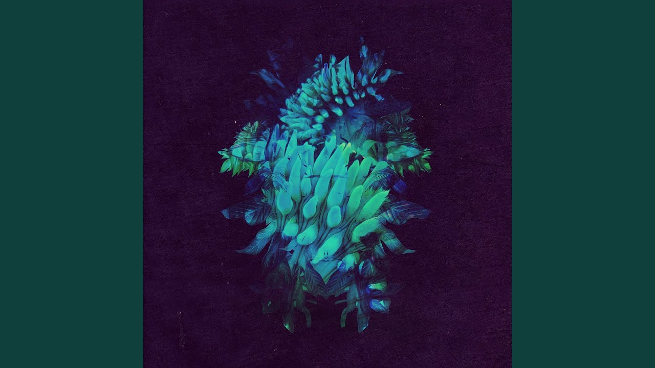 Lost Colours