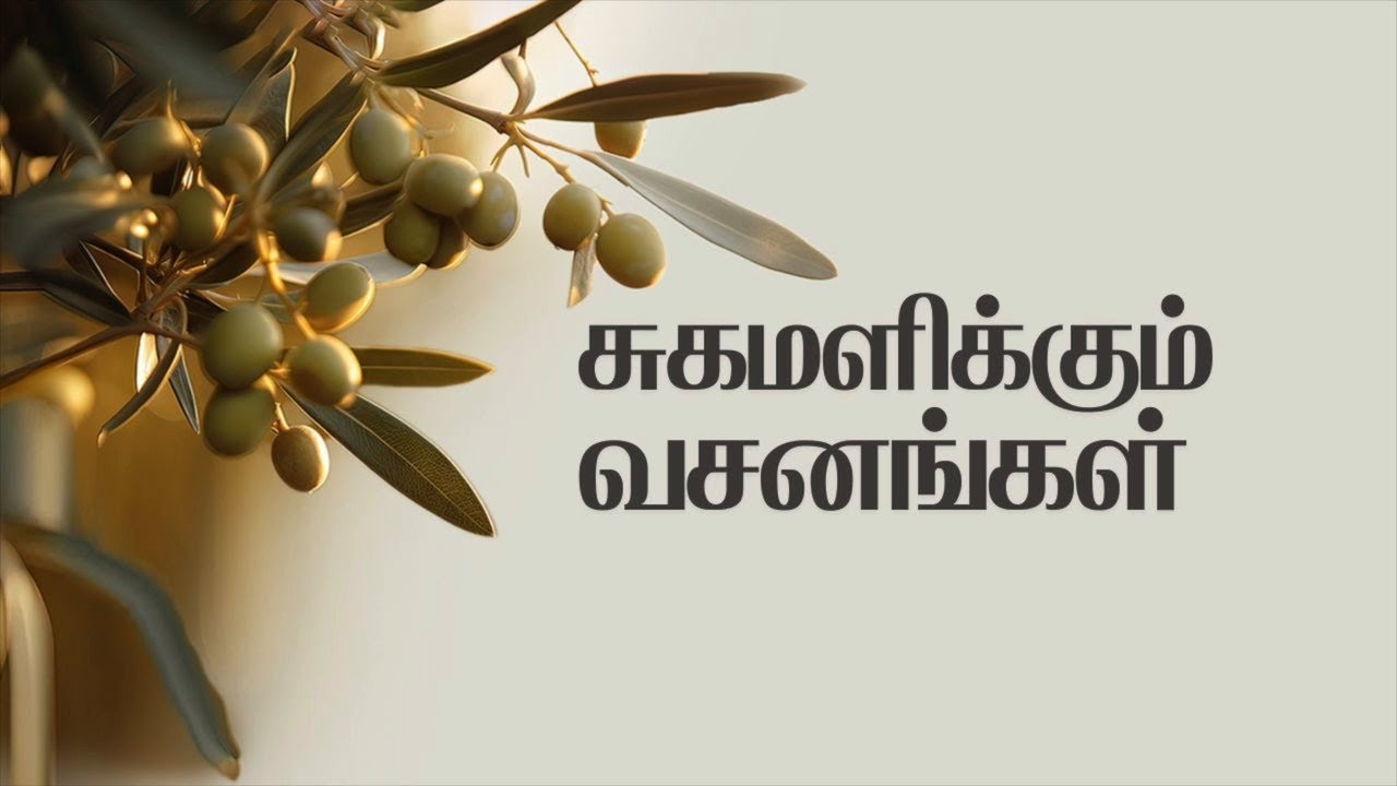 தியானத்திற்கும் உறக்கத்திற்குமான 8மணிநேர சுகமளிக்கும் வசனங்கள் | Joseph Prince | NCTV தமிழ்