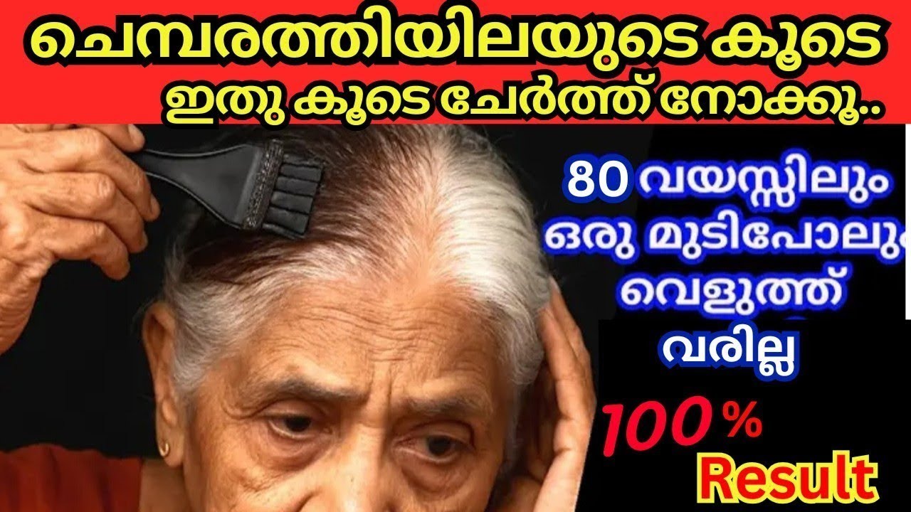 80 വയസിലും ഒറ്റ വെളുത്ത മുടിപോലും ഉണ്ടാകില്ല | Effective Hair Dye | Hair Dye Malayalam #trending 