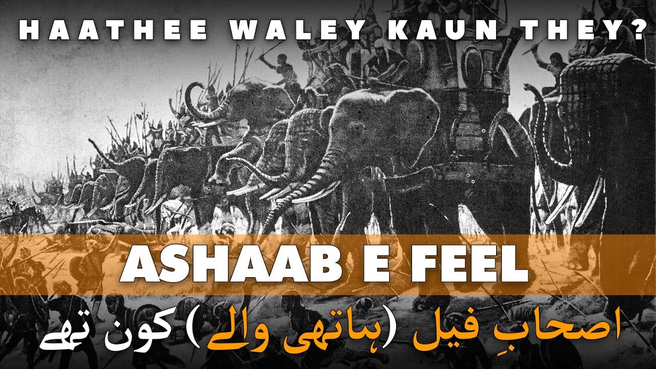 Ashaab e Feel🙄Haathee waley kaun they? | اصحابِ فیل (ہاتھی والے) کون تھے؟ #surahfeel  #ashaabefeel